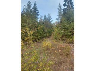 Photo 3: 2345 SHEEP CRK FRST RD in Salmo: Vacant Land for sale : MLS®# 2467843