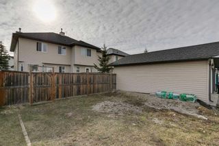 Photo 31: 49 Tarington Landing NE in Calgary: Taradale Semi Detached (Half Duplex) for sale : MLS®# A2119745