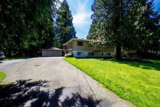 Photo 1: 11826 97 Avenue in Surrey: Royal Heights House for sale (North Surrey)  : MLS®# R2163352
