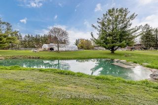 Photo 16: 566 Morning Sdrd in East Gwillimbury: Holland Landing House (Bungalow) for sale : MLS®# N5984420
