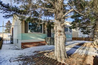 Photo 18: 2115 Mackay Road NW in Calgary: Montgomery Detached for sale : MLS®# A2017111