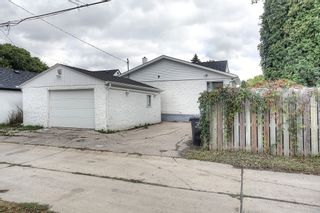 Photo 18: 282 Amherst Street in Winnipeg: Deer Lodge Single Family Detached for sale (5E)  : MLS®# 1725025