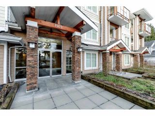 Photo 3: 111 1969 WESTMINSTER Avenue in Port Coquitlam: Glenwood PQ Condo for sale : MLS®# V1099942