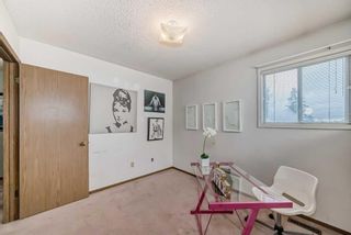 Photo 26: 3832 14 Avenue NE in Calgary: Marlborough Detached for sale : MLS®# A2128885