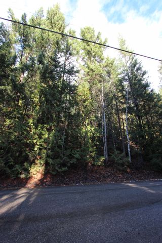 Photo 4: Lot 22 Vickers Trail: Anglemont Vacant Land for sale (North Shuswap)  : MLS®# 10243424