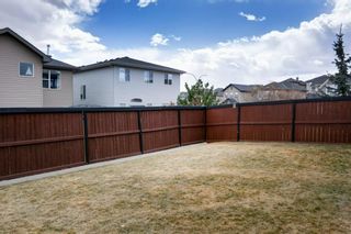 Photo 43: 6 Kincora Gardens NW in Calgary: Kincora Detached for sale : MLS®# A1204301