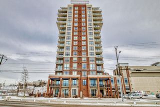Photo 45: 1313 8710 Horton Road SW in Calgary: Haysboro Apartment for sale : MLS®# A2014731