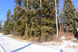 Photo 2: 4881 16 Highway in Smithers: Smithers - Town Land for sale (Smithers And Area)  : MLS®# R2659355