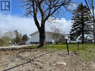 Photo 4: 104-106 Queen Street in Stephenville: Vacant Land for sale : MLS®# 1258763