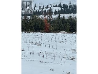 Photo 7: 2197 Highway 33 E in Kelowna: Agriculture for sale : MLS®# 10303492