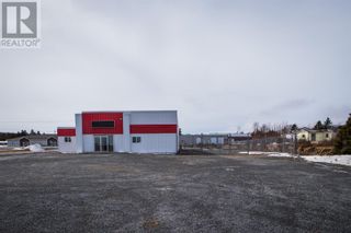 Photo 2: 31 Goff Avenue in Carbonear: Retail for lease : MLS®# 1256546