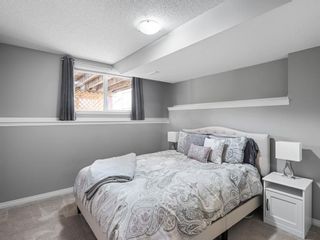 Photo 22: 255 Copperfield Manor SE in Calgary: Copperfield Detached for sale : MLS®# A2053429