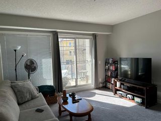 Photo 3: 206 117 19 Avenue NE in Calgary: Tuxedo Park Apartment for sale : MLS®# A2124863