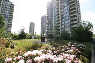 Photo 15: 502 4178 DAWSON STREET in Burnaby: Brentwood Park Condo for sale (Burnaby North)  : MLS®# R2062266
