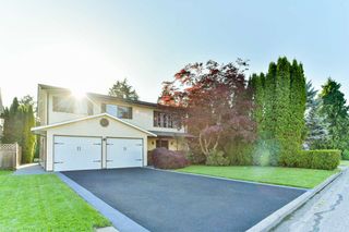 Photo 1: 12141 234 Street in Maple Ridge: East Central House for sale : MLS®# R2269850