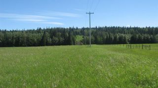 Photo 16: 14 James River Crossing: Rural Clearwater County Residential Land for sale : MLS®# A1224150