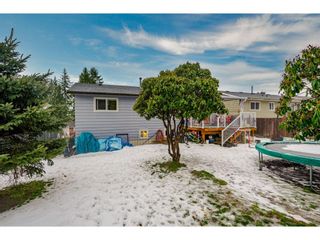 Photo 22: 32773 BADGER Avenue in Mission: Mission BC House for sale : MLS®# R2643001