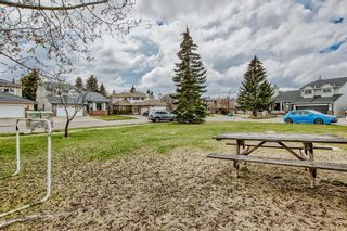 Photo 34: 51 Scenic Park Crescent NW in Calgary: Scenic Acres Detached for sale : MLS®# A2048806