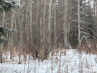 Photo 6: 18 Pinebrook Estates: Rural Thorhild County Vacant Lot/Land for sale : MLS®# E4372237