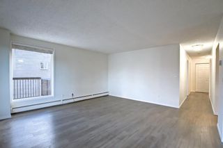 Photo 5: 202 225 25 Avenue SW in Calgary: Mission Apartment for sale : MLS®# A1163942