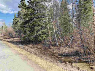 Photo 1: LOT 3 WOODLAND Road in Prince George: Beaverley Land for sale (PG Rural West (Zone 77))  : MLS®# R2453496