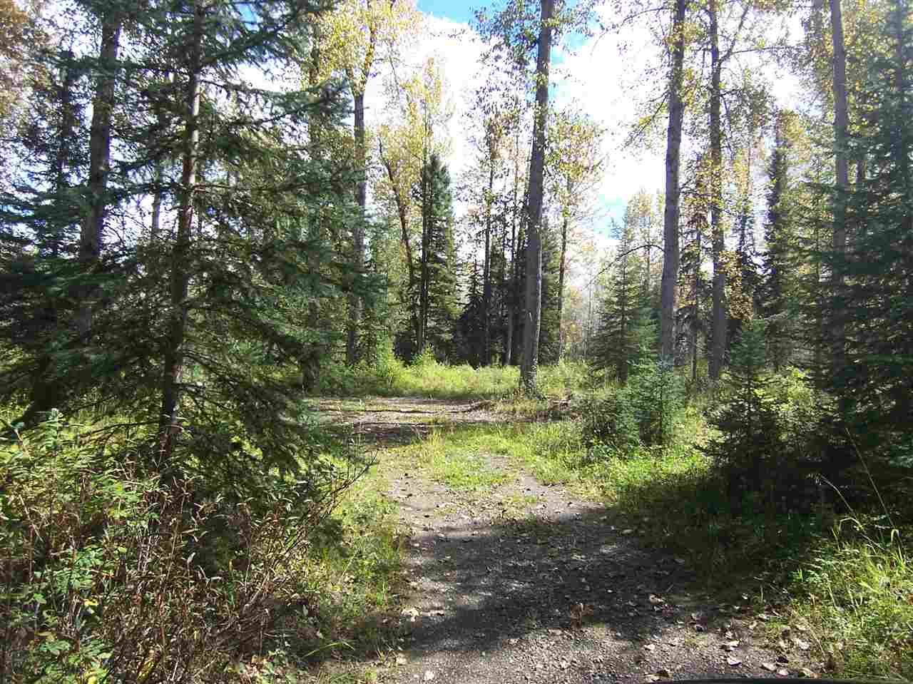 Photo 13: Photos: 4682 BARKERVILLE Highway in Quesnel: Quesnel - Rural North Land for sale (Quesnel (Zone 28))  : MLS®# R2105293