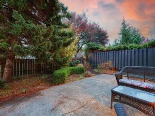 Photo 33: 3159 Somerset St in Victoria: Vi Mayfair House for sale : MLS®# 925049