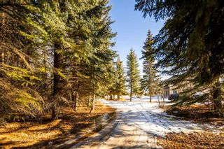 Photo 41: 25273 Lower Springbank Road in Rural Rocky View County: Rural Rocky View MD Detached for sale : MLS®# A2114299