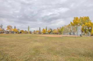 Photo 44: 1319 8 Avenue NE in Calgary: Renfrew Detached for sale : MLS®# A2083189