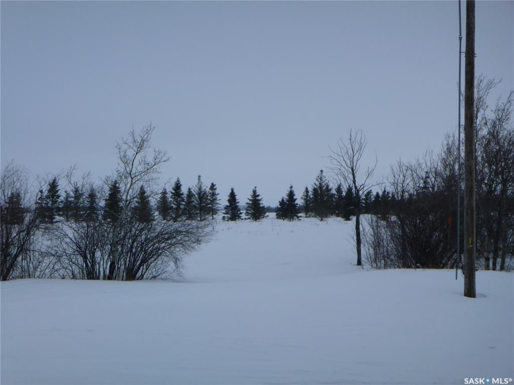 Main Photo: Cleaveley Acreage in Tisdale: Lot/Land for sale (Tisdale Rm No. 427)  : MLS®# SK915037