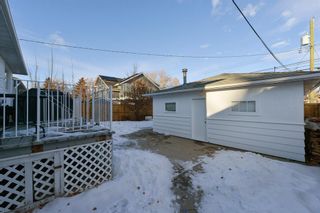 Photo 41: 2344 23 Street NW in Calgary: Banff Trail Detached for sale : MLS®# A2020825