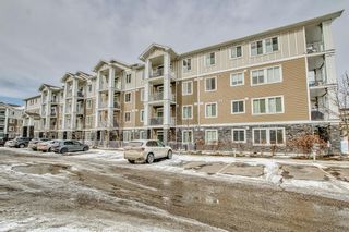 Photo 29: 5207 522 Cranford Drive SE in Calgary: Cranston Apartment for sale : MLS®# A2033177
