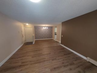 Photo 7: 528 10120 Brookpark Boulevard SW in Calgary: Braeside Apartment for sale : MLS®# A2046129