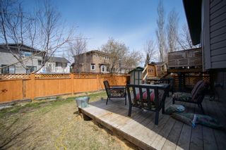 Photo 24: 318 Meadowbrook Bay SE: Airdrie Detached for sale : MLS®# A1101593