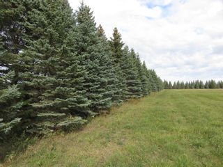 Photo 1: 0 Centreline Road: RM Springfield Vacant Land for sale (R04)  : MLS®# 202103923