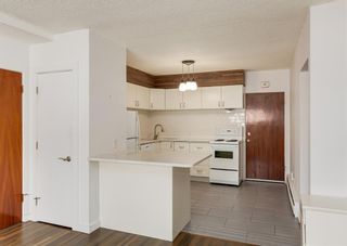 Photo 6: 101 807 48 Avenue SW in Calgary: Britannia Apartment for sale : MLS®# A1191368