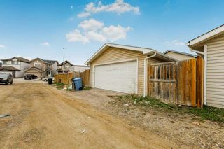 Photo 40: 72 Martinvalley Crescent NE in Calgary: Martindale Detached for sale : MLS®# A2130000