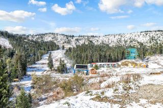 Photo 40: 47075 SNOWMIST Drive in Agassiz: Hemlock House for sale in "Sasquatch Mountain Resort" (Mission)  : MLS®# R2878337