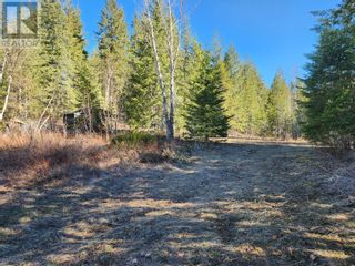 Photo 4: 712 Grange Road in Enderby: Vacant Land for sale : MLS®# 10310045