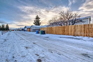 Photo 46: 52 Falton Drive NE in Calgary: Falconridge Detached for sale : MLS®# A2109079