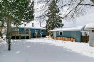 Photo 29: 1628 48 Avenue SW in Calgary: Altadore Detached for sale : MLS®# A2117007