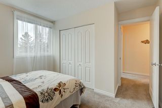 Photo 23: 42 528 Cedar Crescent SW in Calgary: Spruce Cliff Apartment for sale : MLS®# A1191210