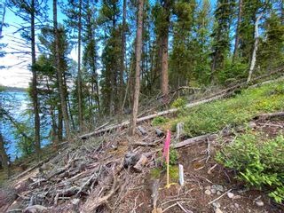Photo 20: LOT 7 S SOMERSET Drive: Cluculz Lake Land for sale in "SOMERSET ESTATES" (PG Rural West (Zone 77))  : MLS®# R2596563