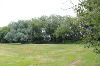 Photo 10: 44087 33 N Road in La Broquerie: Vacant Land for sale : MLS®# 202403022