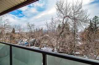 Photo 10: 301 1821 17A Street SW in Calgary: Bankview Apartment for sale : MLS®# A2139414