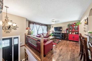 Photo 3: BEDDINGTON HEIGHTS in Calgary: Detached for sale