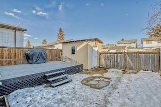 Photo 47: 307 Abinger Crescent NE in Calgary: Abbeydale Detached for sale : MLS®# A2035191