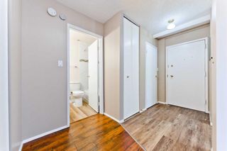 Photo 4: 417 816 89 Avenue SW in Calgary: Haysboro Apartment for sale : MLS®# A2104765
