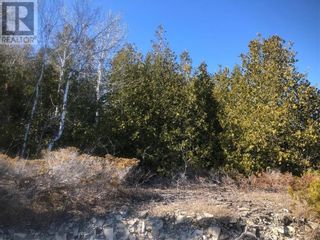 Photo 2: Pt Lt 33 Clover Valley Road E in Manitowaning: Vacant Land for sale : MLS®# 2116051