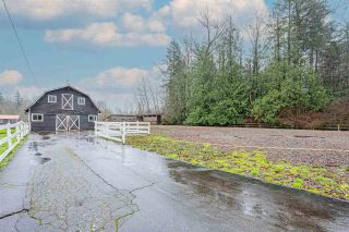 Photo 20: 4222 216 Street in Langley: Murrayville House for sale : MLS®# R2638951